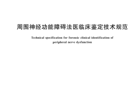 GB／T 43638-2024 周围神经功能障碍法医临床鉴定技术规范