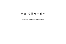 GB／T 27987-2011 尼里-拉菲水牛种牛