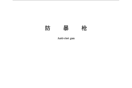 GB／T 16624-2009 防暴枪