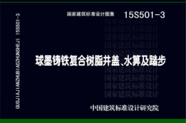 15S501-3 球墨铸铁复合树脂井盖水箅及踏步