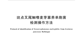 GB／T 27635-2011 斑点叉尾鮰嗜麦芽寡养单胞菌检测操作方法