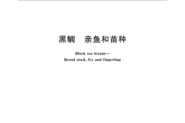 GB／T 21326-2007 黑鲷 亲鱼和苗种