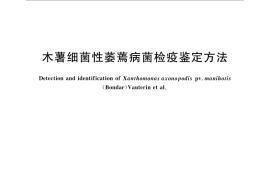 GB／T 28096-2011 木薯细菌性萎蔫病菌检疫鉴定方法