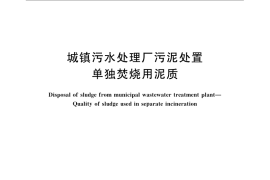 GB／T 24602-2009 城镇污水处理厂污泥处置 单独焚烧用泥质