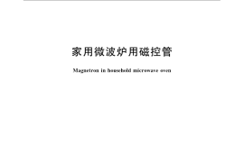 GB／T 23152-2008 家用微波炉用磁控管