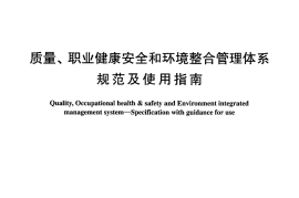 DLT1004-2006 质量、职业健康安全和环境整合管理体系规范及使用指南