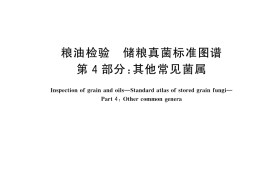 GB／T 26628.4-2024 粮油检验 储粮真菌标准图谱 第4部分：其他常见菌属