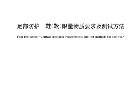 GB／T 31009-2020 足部防护 鞋（靴）限量物质要求及测试方法