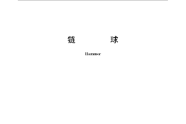 GB／T 23116-2008 链球