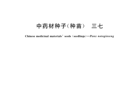 GB／T 41624-2022 中药材种子（种苗） 三七