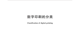 GB／T 30324-2013 数字印刷的分类