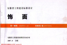 皖2007J301 饰面