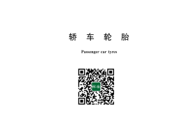 GB 9743-2024 轿车轮胎