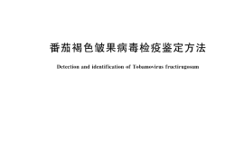 GB／T 45589-2025 番茄褐色皱果病毒检疫鉴定方法