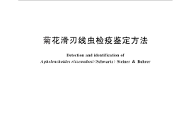 GB／T 28977-2012 菊花滑刃线虫检疫鉴定方法