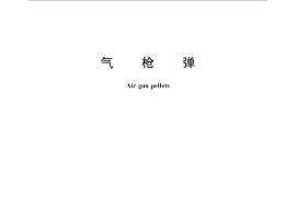 GB／T 28800-2012 气枪弹