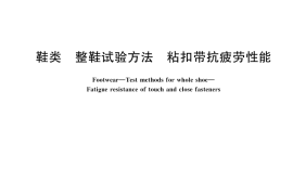 GB／T 45175-2024 鞋类 整鞋试验方法 粘扣带抗疲劳性能