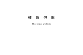 GB／T 14724-2009 硬质假眼