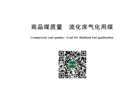 GB／T 29721-2023 商品煤质量 流化床气化用煤