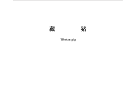 GB／T 32763-2016 藏猪