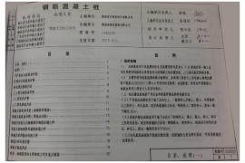 12ZG205 钢筋混凝土桩(1)