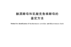GB／T 41219-2021 酿酒酵母和乳酸克鲁维酵母的鉴定方法