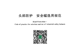 GB／T 30041-2013 头部防护 安全帽选用规范(1)