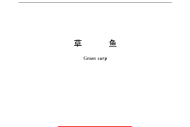 GB／T 17715-1999 草鱼