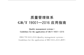 GB／T 19002-2018 质量管理体系GB∕T 19001-2016 应用指南(1)