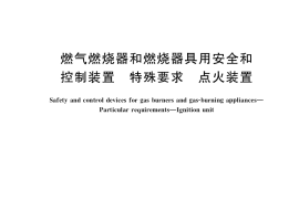 GB／T 38756-2020 燃气燃烧器和燃烧器具用安全和控制装置 特殊要求 点火装置