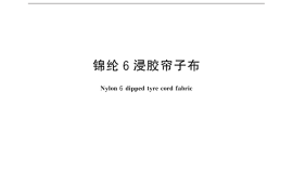 GB／T 9102-2016 锦纶 6 浸胶帘子布