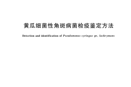 GB／T 36853-2018 黄瓜细菌性角斑病菌检疫鉴定方法