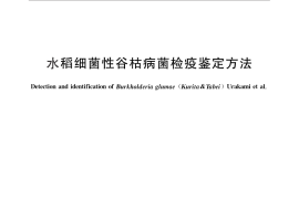 GB／T 29396-2012 水稻细菌性谷枯病菌检疫鉴定方法