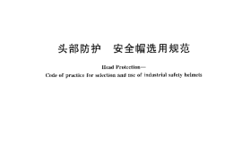 GB／T 30041-2013 头部防护 安全帽选用规范