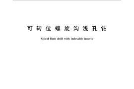 GB／T 14299-2007 可转位螺旋沟浅孔钻