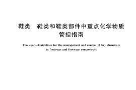 GB／T 29292-2024 鞋类 鞋类和鞋类部件中重点化学物质管控指南
