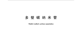 GB／T 24491-2009 多壁碳纳米管
