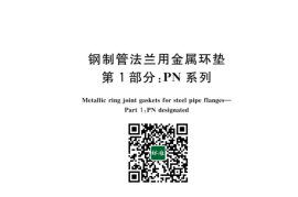GB 9128.1-2023 钢制管法兰用金属环垫 第1部分_PN系列