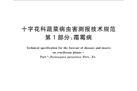 GB／T 23392.1-2009 十字花科蔬菜病虫害测报技术规范 第1部分：霜霉病