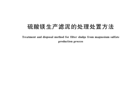 GB／T 39284-2020 硫酸镁生产滤泥的处理处置方法