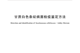 GB／T 29578-2013 甘蔗白色条纹病菌的检疫鉴定方法