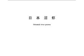 GB／T 20555-2006 日本沼虾