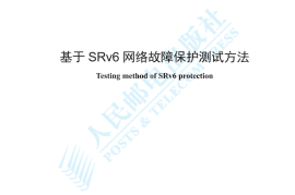 YDT 4786-2024 基于SRv6网络故障保护测试方法_高清正式版