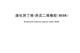 GB／T 46228-2025 溴化异丁烯-异戊二烯橡胶（BIIR）