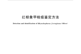 GB／T 29579-2013 红棕象甲检疫鉴定方法