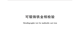 GB／T 25746-2010 可锻铸铁金相检验