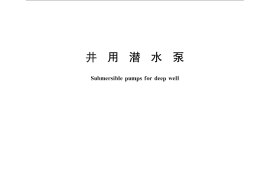 GB／T 2816-2014 井用潜水泵