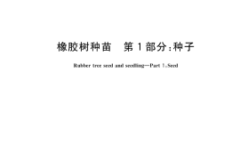 GB／T 17822.1-2024 橡胶树种苗 第1部分：种子