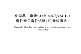 GB／T 42880-2023 化学品 蜜蜂（Apis mellifera L.）慢性经口毒性试验（10天饲喂法）