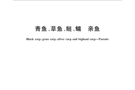 GB／T 5055-2008 青鱼、草鱼、鲢、鳙 亲鱼